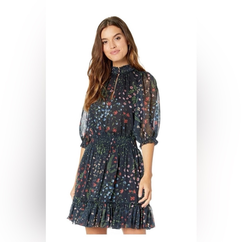 Joie Elegant Sheer Sleeve Dress